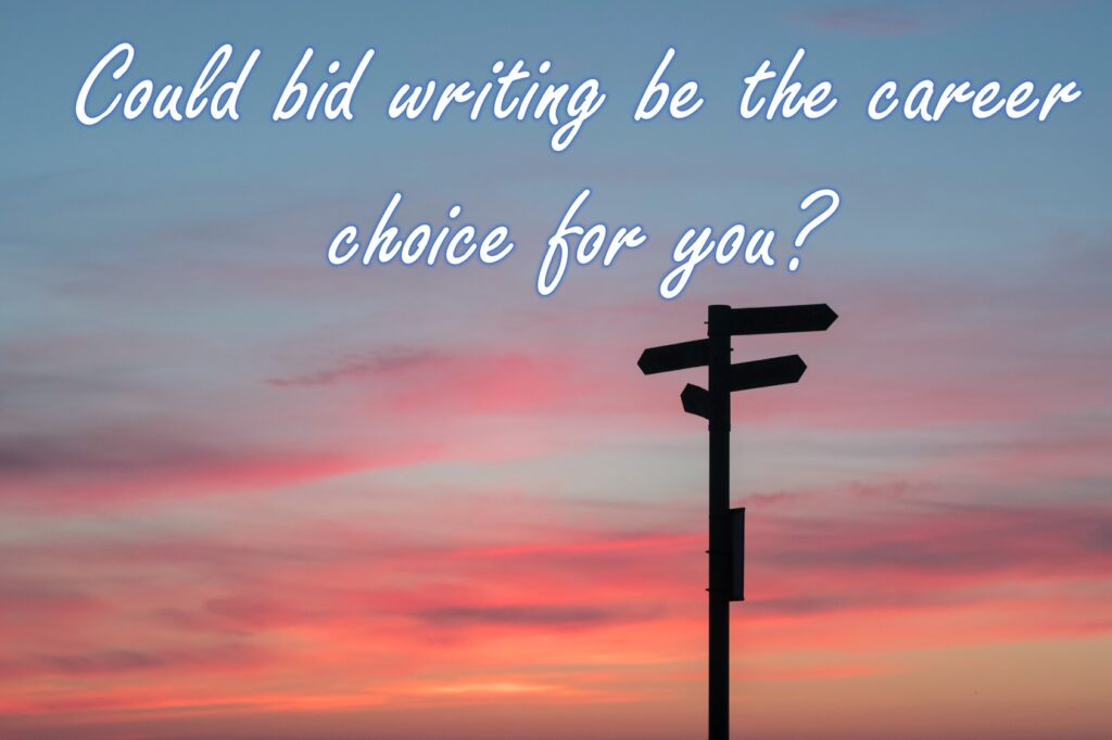 What is a Bid Writer